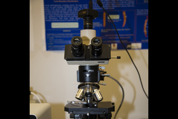 Olympus BH2 Microscope
